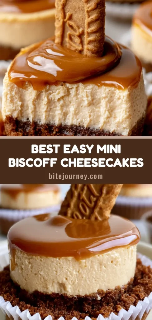 A tall vertical pin showing No-Bake Mini Biscoff Cheesecakes with a thick crust and glossy liquid topping.
